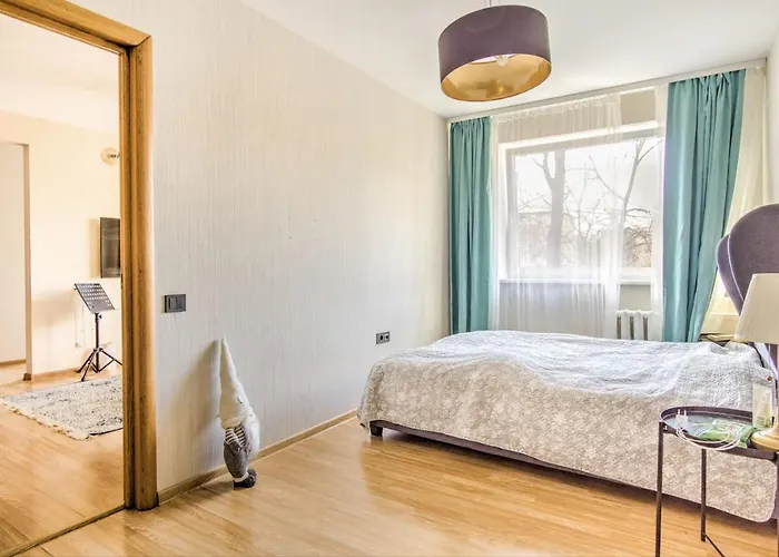 Cozy Flat Near Center And Airport. Free Parking * 维尔纽斯