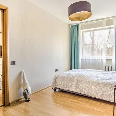 Cozy Flat Near Center And Airport. Free Parking * 维尔纽斯